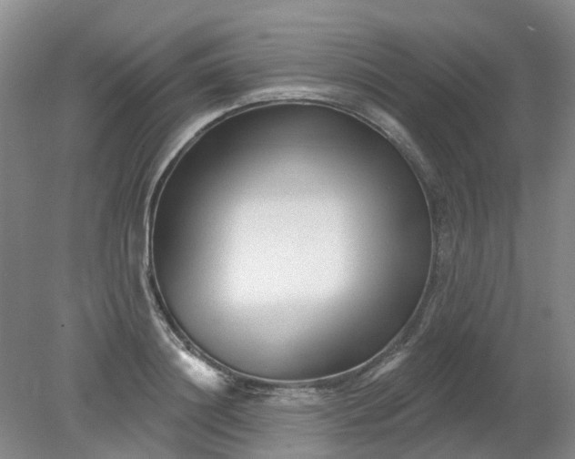X0000079330844200612011906