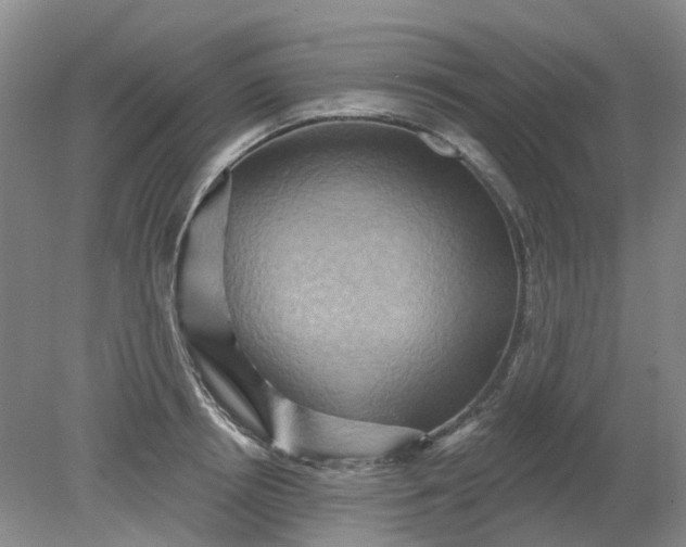 X0000079330850200612011906