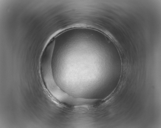 X0000079330854200612011906