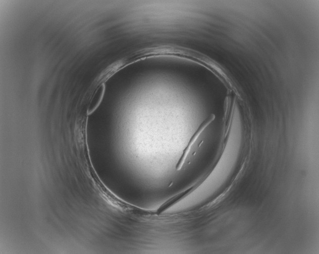 X0000079330857200612011906