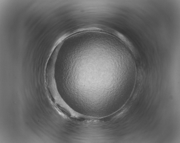 X0000079330858200612011906