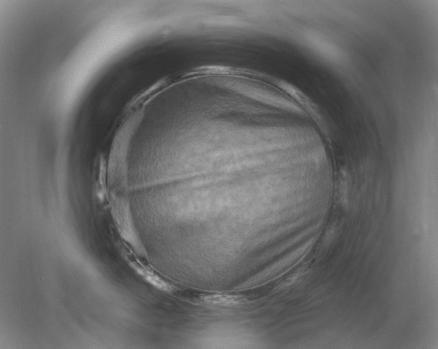 X0000079330862200612011906