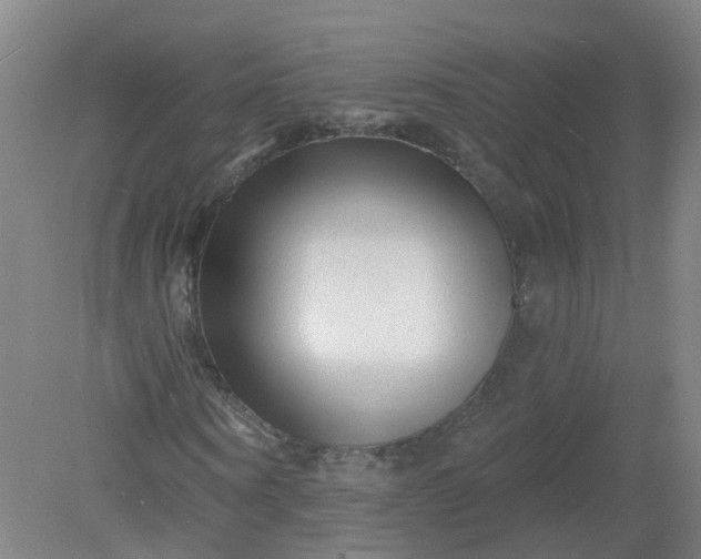 X0000079330866200612011905