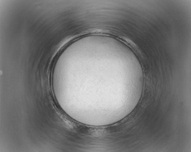 X0000079330886200612011905