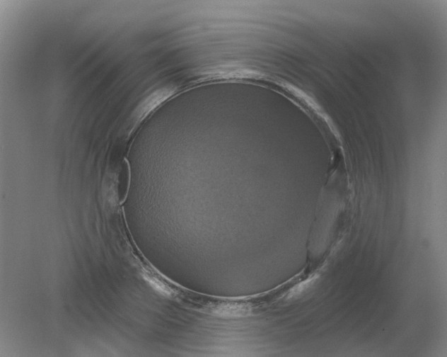 X0000079330889200612011905