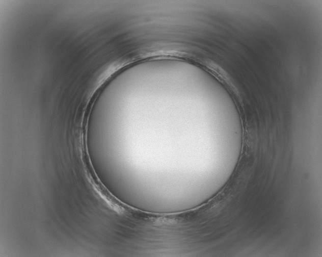 X0000079330890200612011905