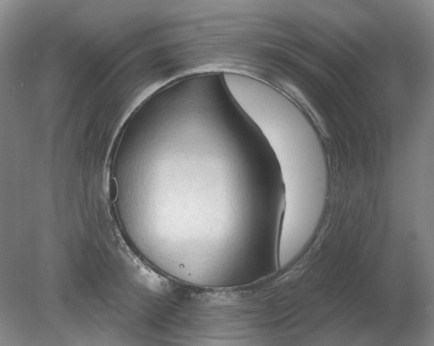 X0000079330900200612011905