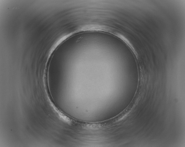 X0000079330901200612011905
