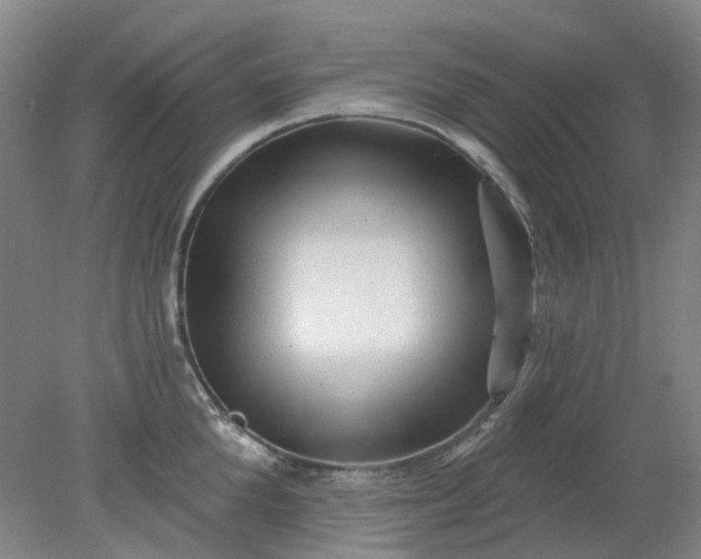 X0000079330904200612011905