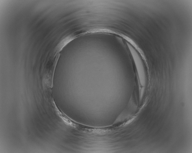 X0000079330905200612011905