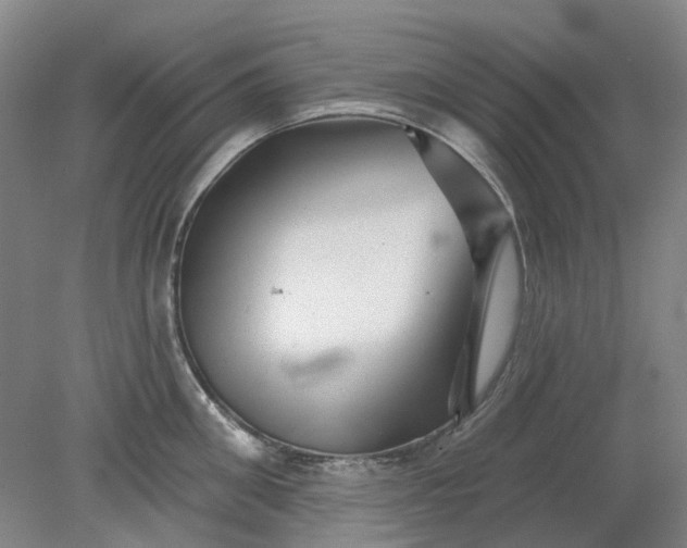 X0000079330906200612011905