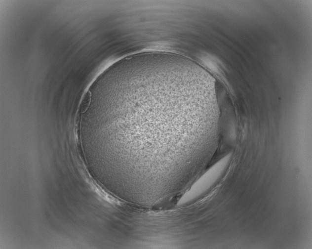 X0000079330908200612011905
