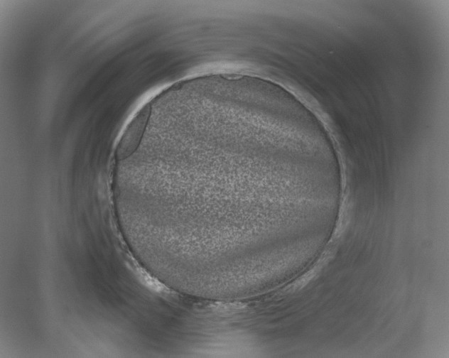 X0000079330912200612011904