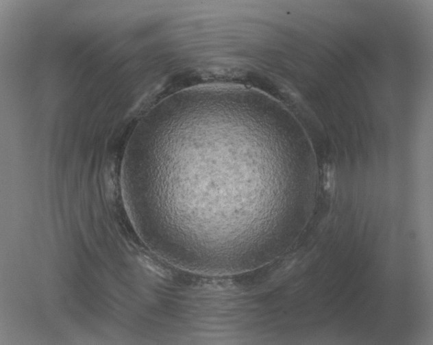 X0000079330915200612011904