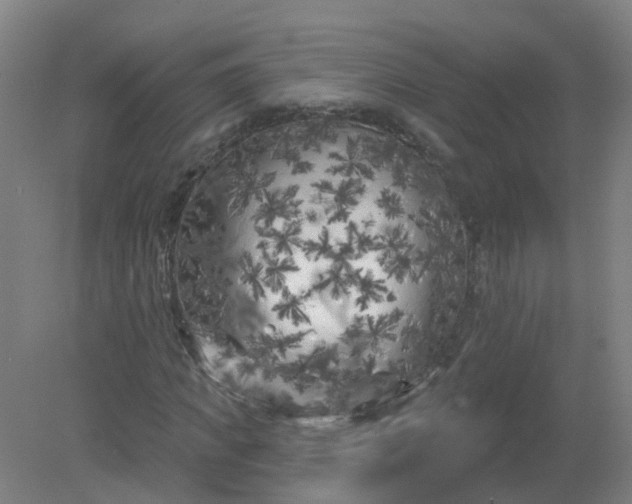 X0000079330917200612011904