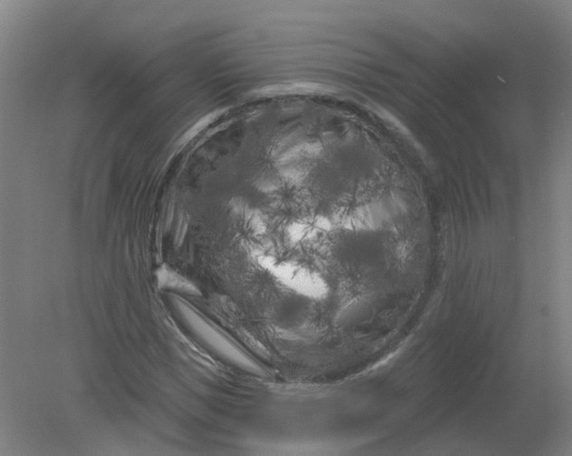 X0000079330921200612011904