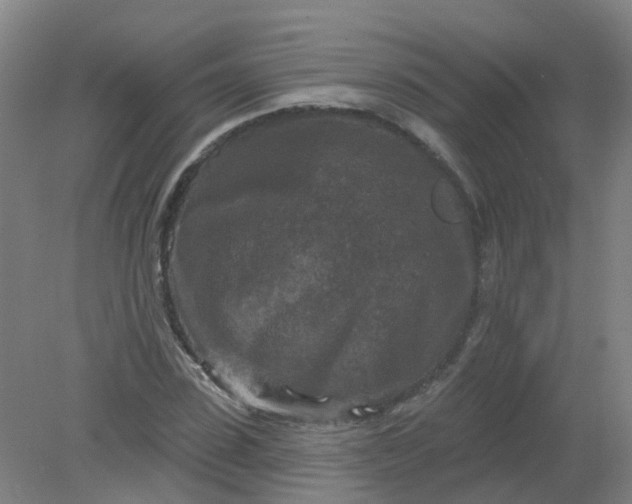 X0000079330923200612011904