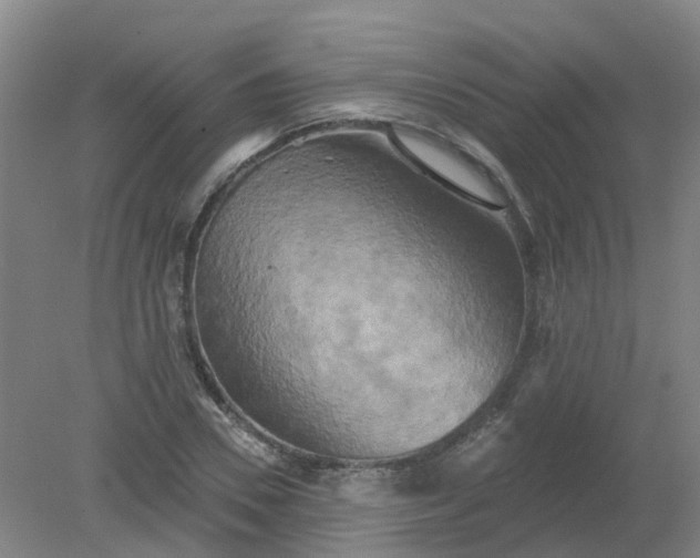 X0000079330930200612011904