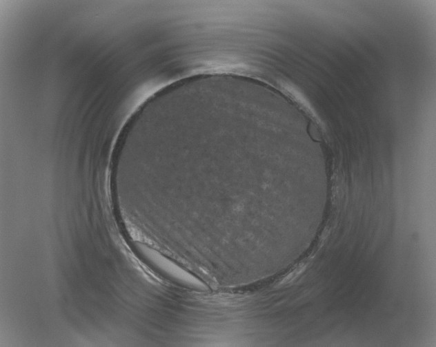 X0000079330932200612011904
