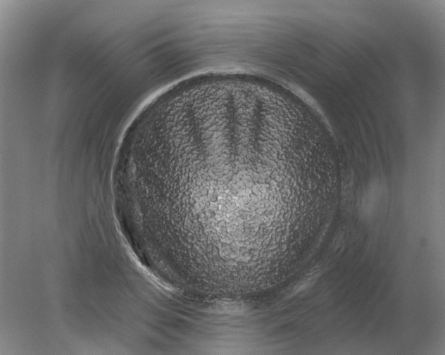 X0000079330935200612011904