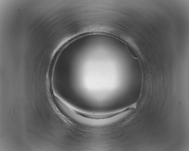 X0000079330936200612011904