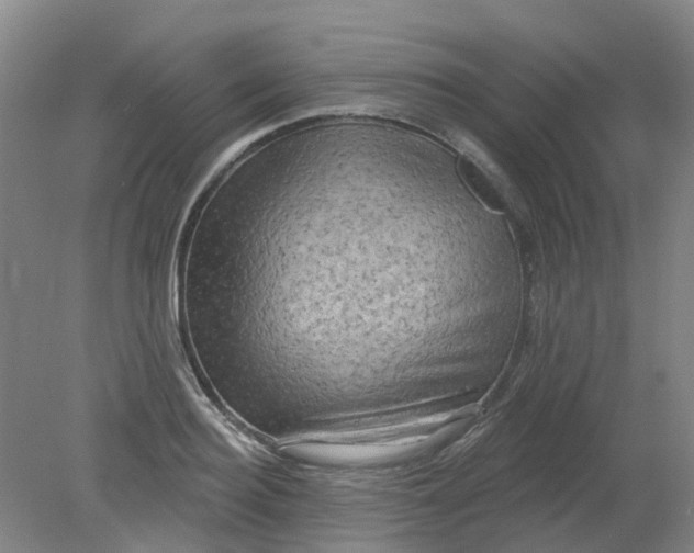 X0000079330940200612011904