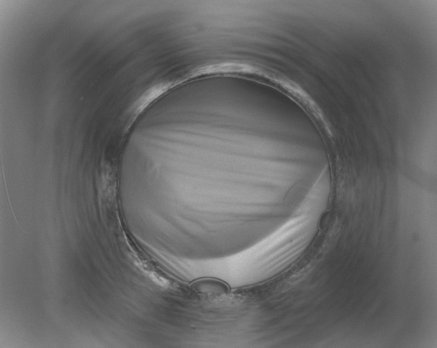 X0000079330945200612011904