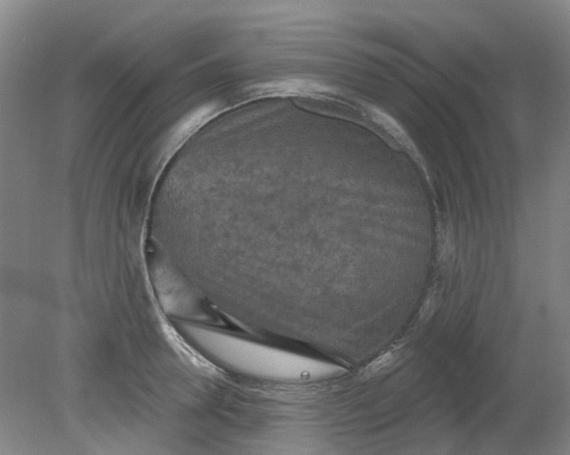 X0000079330946200612011904