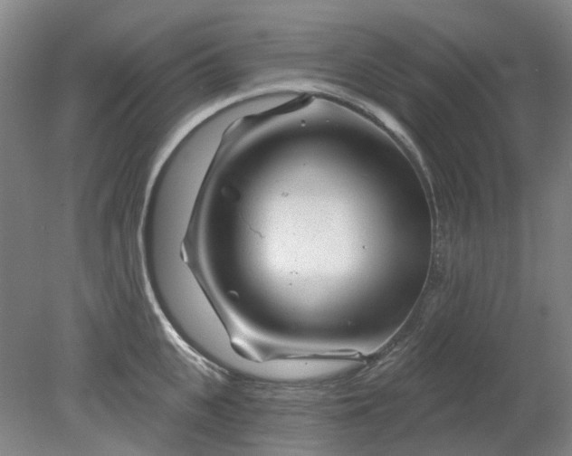 X0000079330951200612011904