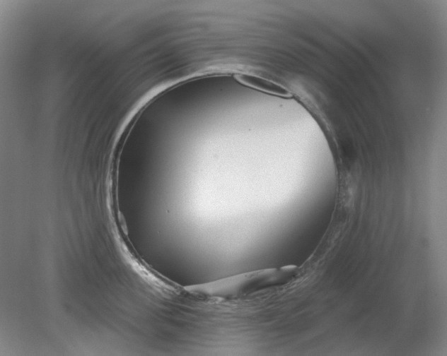 X0000079330955200612011904