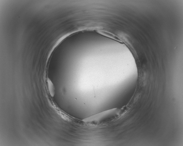 X0000079330956200612011904