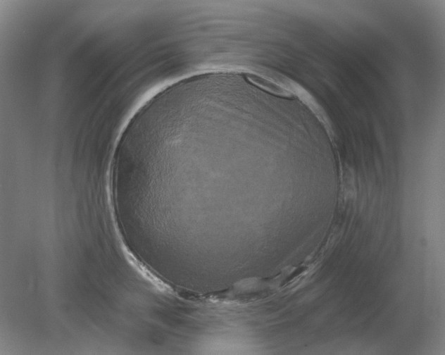 X0000079330958200612011904