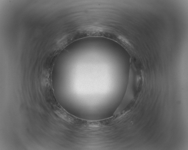 X0000079330964200612011904