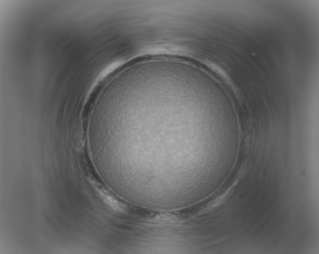 X0000079330974200612011903