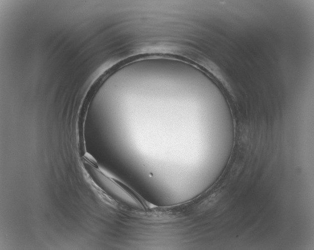 X0000079330980200612011903
