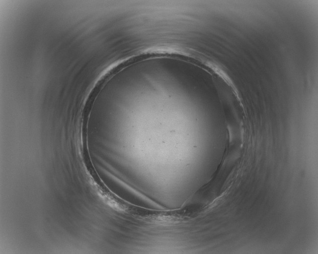 X0000079330984200612011903