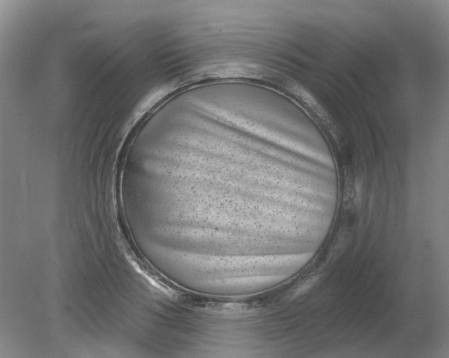 X0000079330986200612011903