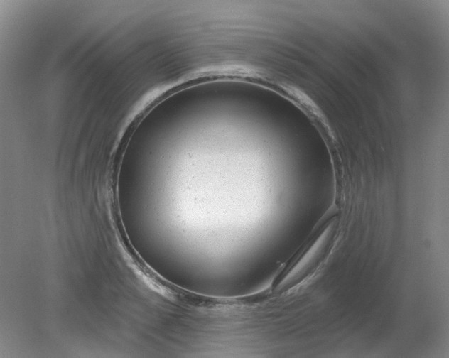 X0000079330989200612011903