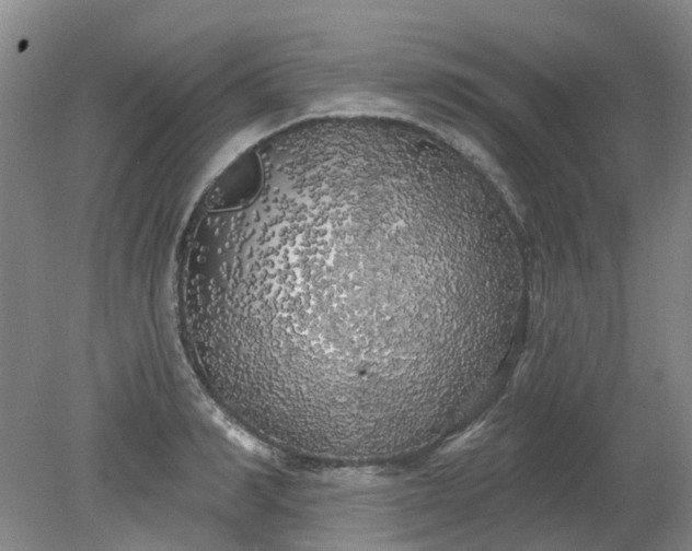 X0000079330990200612011903