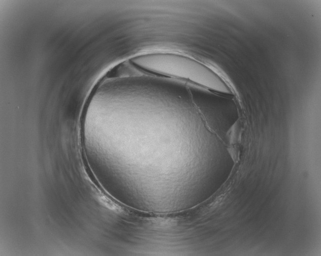 X0000079330996200612011903