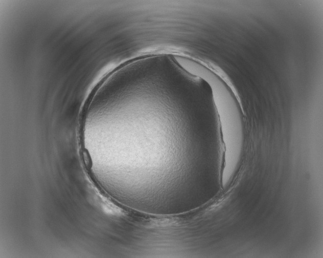 X0000079330997200612011903