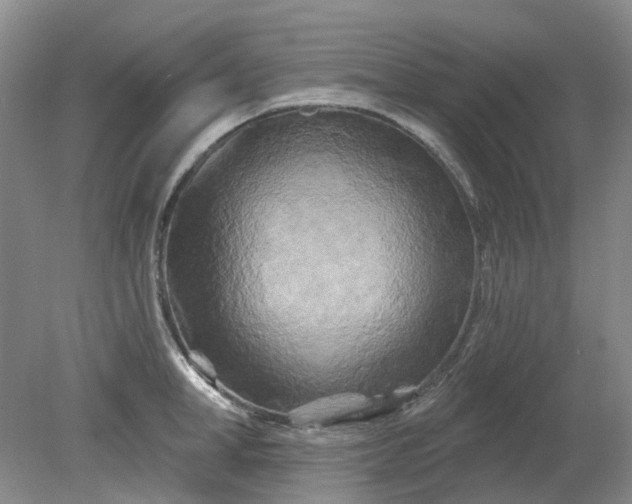 X0000079330998200612011903