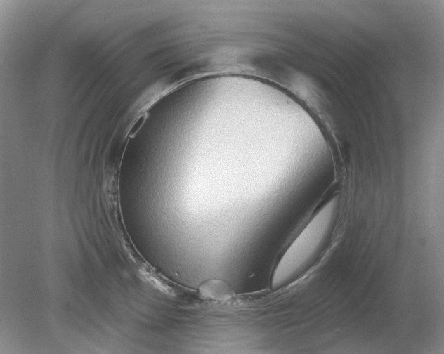 X0000079331001200612011903