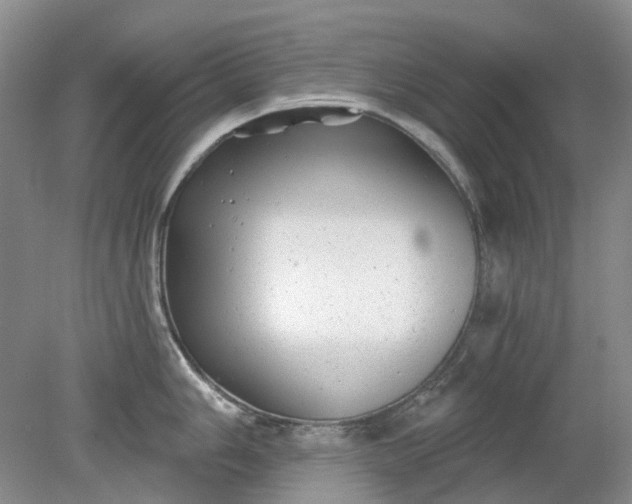 X0000079331006200612011903