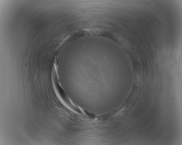 X0000079331010200612011902