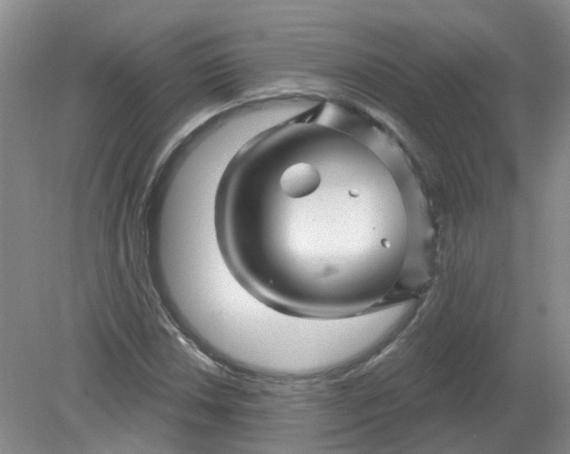 X0000079331018200612011902