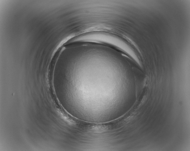 X0000079331026200612011902