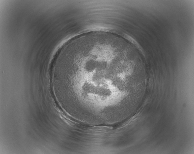 X0000079331027200612011902