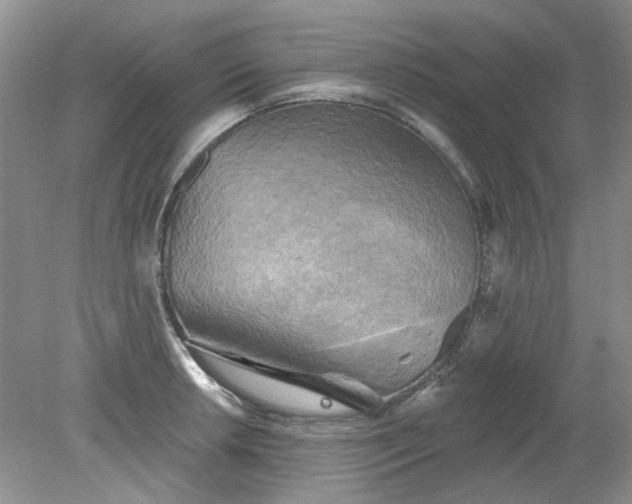 X0000079331042200612011903