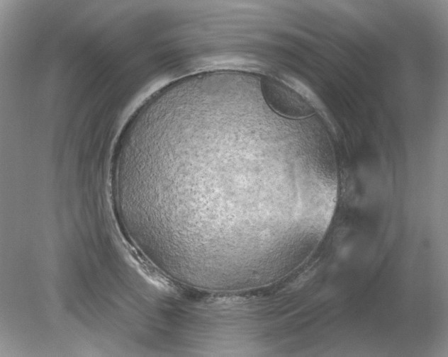 X0000079331043200612011903